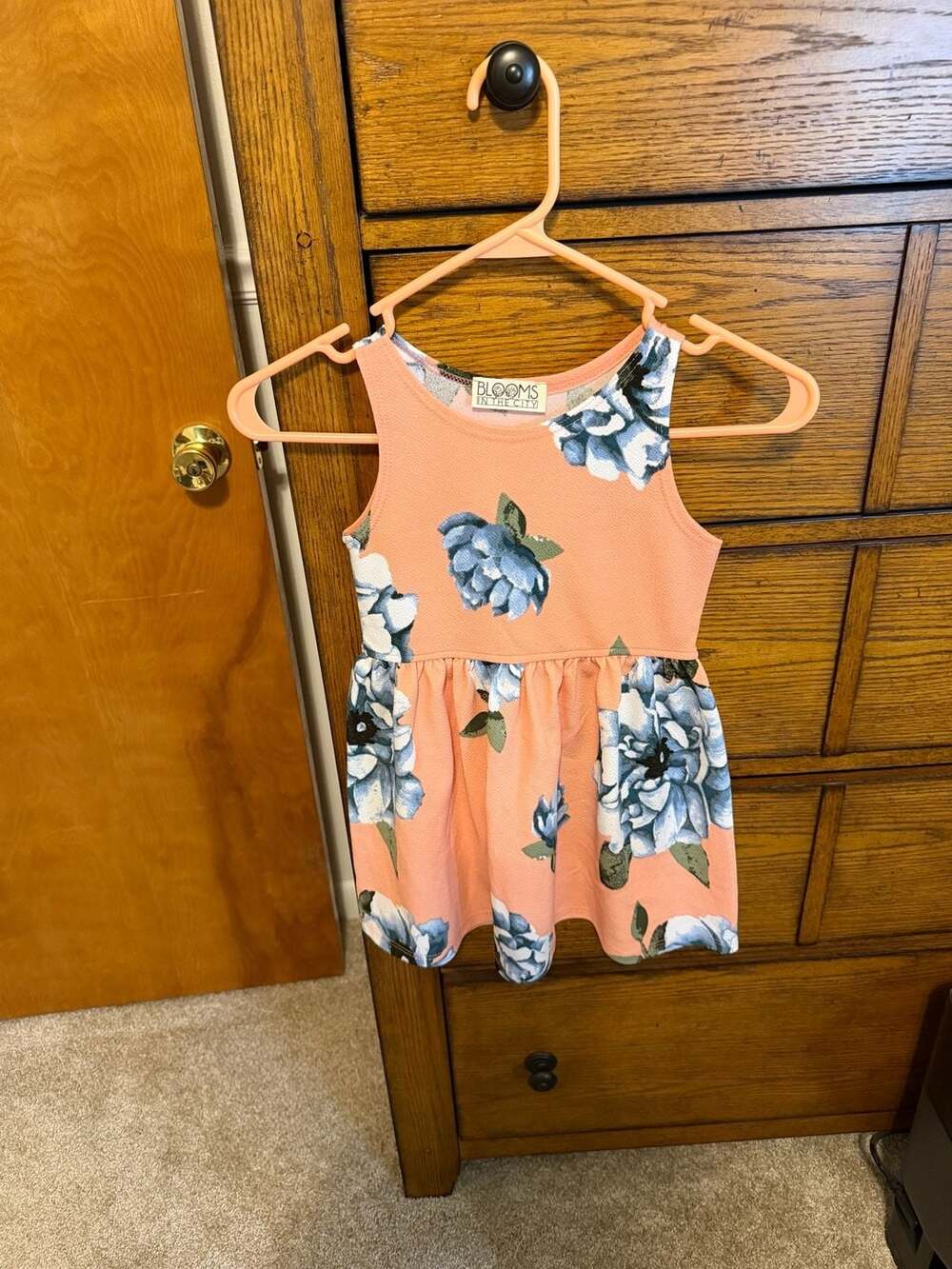 Lot of 2 Blooms In The City Toddler Girl Peach and Blue Floral Sleeveless Dress